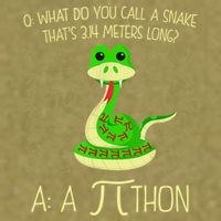Funny Python Snake Pi Day Garment-Dyed Women's Muscle Tee