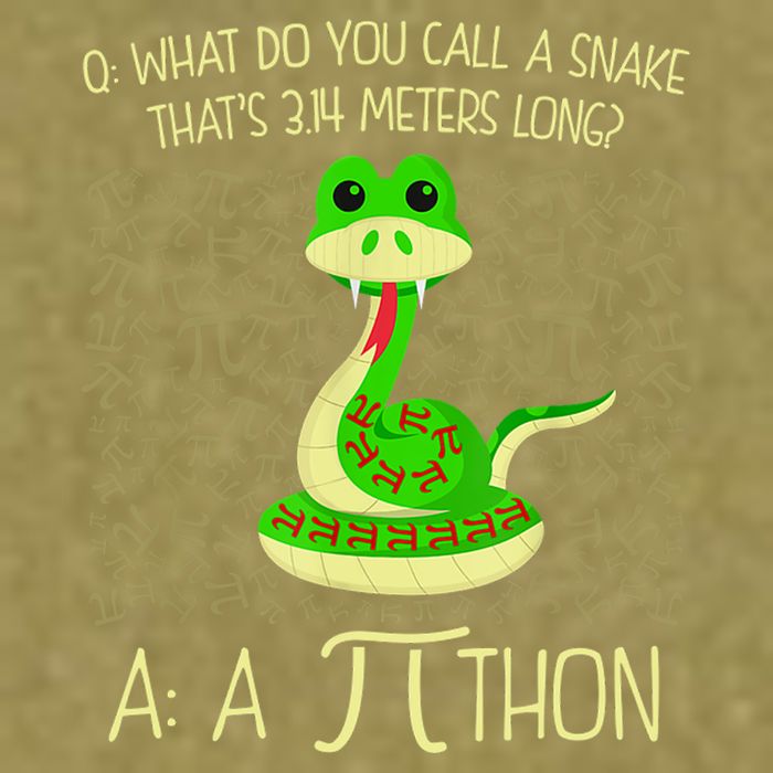 Funny Python Snake Pi Day Garment-Dyed Women's Muscle Tee