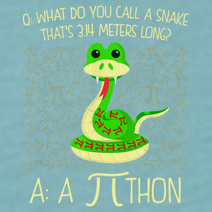 Funny Python Snake Pi Day Sueded Cloud Jersey T-Shirt