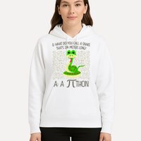 Funny Python Snake Pi Day Hoodie
