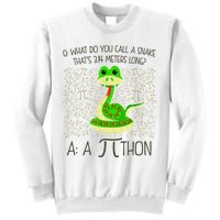 Funny Python Snake Pi Day Sweatshirt