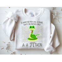Funny Python Snake Pi Day Sweatshirt