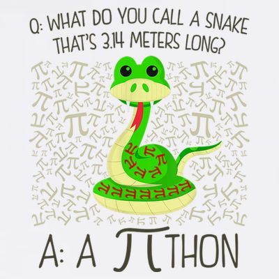 Funny Python Snake Pi Day T-Shirt