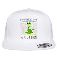 Funny Python Snake Pi Day Flat Bill Trucker Hat