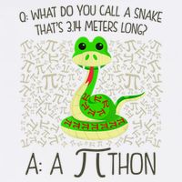 Funny Python Snake Pi Day Flat Bill Trucker Hat