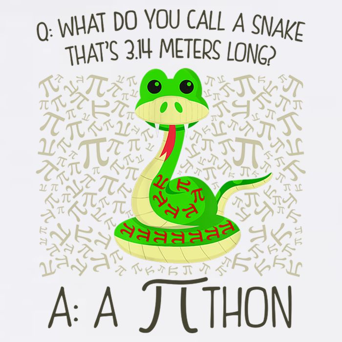 Funny Python Snake Pi Day Tank Top