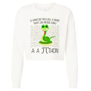 Funny Python Snake Pi Day Cropped Pullover Crew