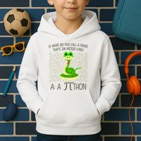 Funny Python Snake Pi Day Kids Hoodie