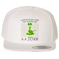 Funny Python Snake Pi Day Wool Snapback Cap