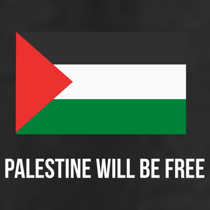 Free Palestine Strong 11oz C Handle Ceramic Mug