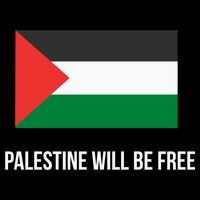 Free Palestine Strong Visor