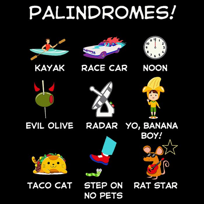Funny Palindromes Set For Palindromists Word Play Games Pun Flatbill Hat
