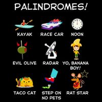 Funny Palindromes Set For Palindromists Word Play Games Pun 16 in Basic Backpack