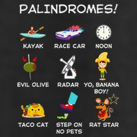 Funny Palindromes Set For Palindromists Word Play Games Pun 25L Jumbo Tote