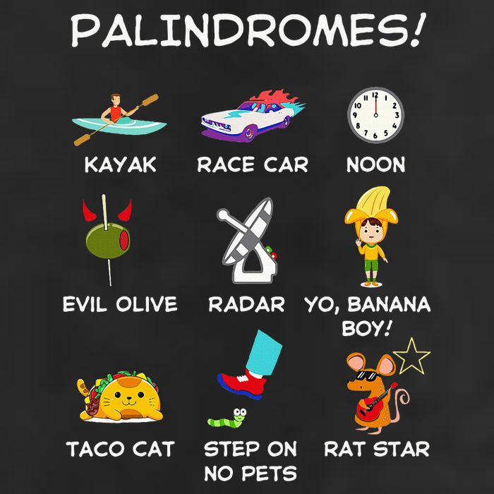 Funny Palindromes Set For Palindromists Word Play Games Pun 25L Jumbo Tote