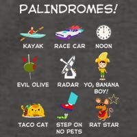 Funny Palindromes Set For Palindromists Word Play Games Pun Vector Backpack