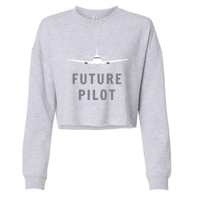 Future Pilot Shirts Airplane Pilot Aviation Gift Cropped Pullover Crew