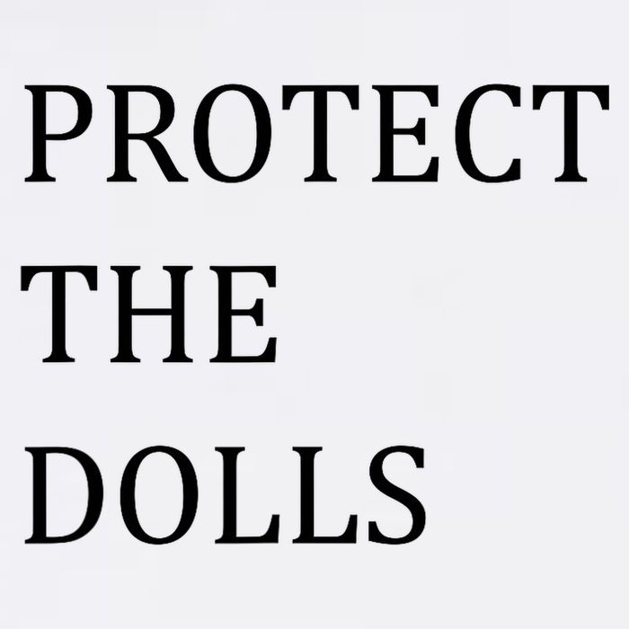 Funny Protect The Dolls Sustainable Bucket Hat