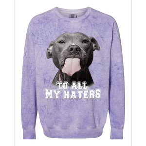 Funny Pitbull To All My Haters Pitbull Dog Lover Gift Colorblast Crewneck Sweatshirt