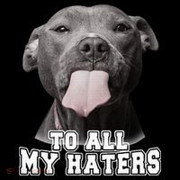 Funny Pitbull To All My Haters Pitbull Dog Lover Gift High Crown Mesh Back Trucker Hat
