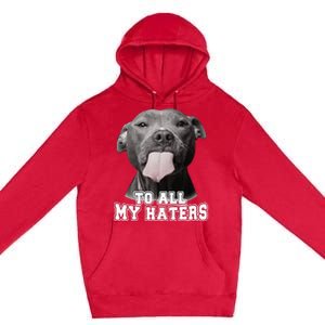 Funny Pitbull To All My Haters Pitbull Dog Lover Gift Premium Pullover Hoodie