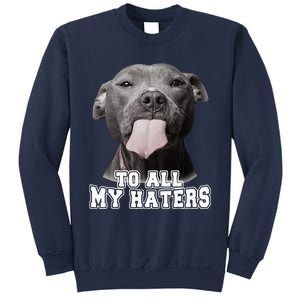 Funny Pitbull To All My Haters Pitbull Dog Lover Gift Sweatshirt