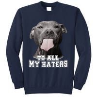 Funny Pitbull To All My Haters Pitbull Dog Lover Gift Tall Sweatshirt