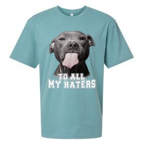 Funny Pitbull To All My Haters Pitbull Dog Lover Gift Sueded Cloud Jersey T-Shirt