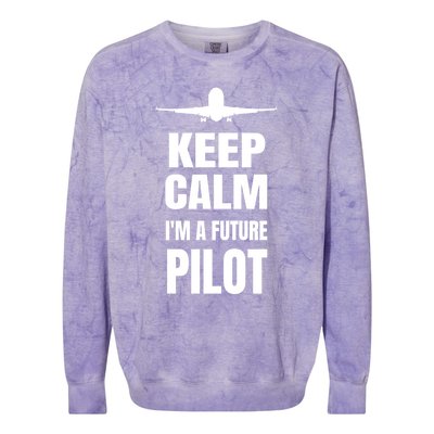 Future Pilot Tee Pilot In Progress Flight School Student Great Gift Colorblast Crewneck Sweatshirt