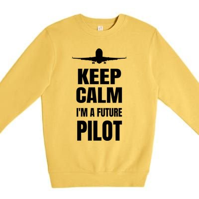 Future Pilot Tee Pilot In Progress Flight School Student Great Gift Premium Crewneck Sweatshirt