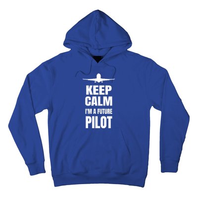 Future Pilot Tee Pilot In Progress Flight School Student Great Gift Hoodie