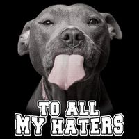 Funny Pitbull To All My Haters Shirt Pitbull Dog Lover Gift T-Shirt