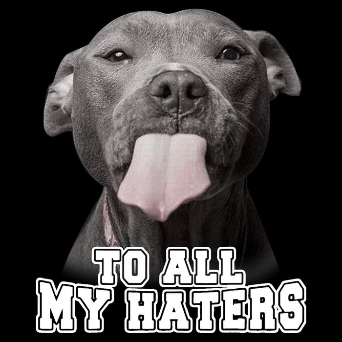 Funny Pitbull To All My Haters Shirt Pitbull Dog Lover Gift T-Shirt