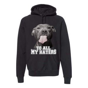 Funny Pitbull To All My Haters Shirt Pitbull Dog Lover Gift Premium Hoodie