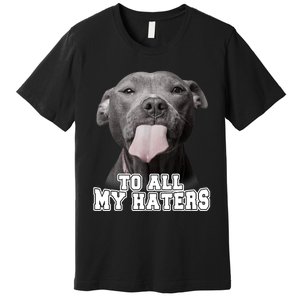 Funny Pitbull To All My Haters Shirt Pitbull Dog Lover Gift Premium T-Shirt