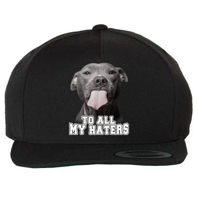 Funny Pitbull To All My Haters Shirt Pitbull Dog Lover Gift Wool Snapback Cap