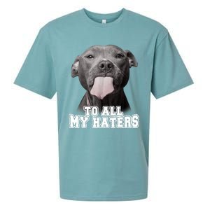 Funny Pitbull To All My Haters Shirt Pitbull Dog Lover Gift Sueded Cloud Jersey T-Shirt