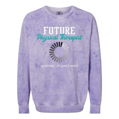 Future Physical Therapist Physical Theraphy Student PT Colorblast Crewneck Sweatshirt