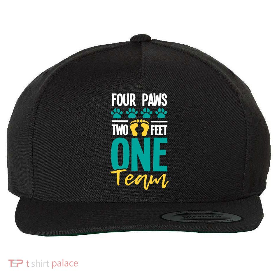 Four Paws Two Feet One Team Gift Puppy Lover Dog Trainer Gift Wool Snapback Cap