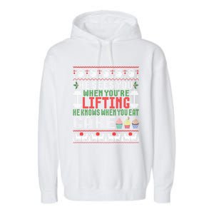 Funny Personal Trainer Christmas For Weightlifting And Cake Meaningful Gift Garment-Dyed Fleece Hoodie