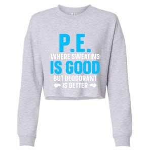 Funny Pe Teacher Art Gym Teacher Appreciation Gift Cropped Pullover Crew