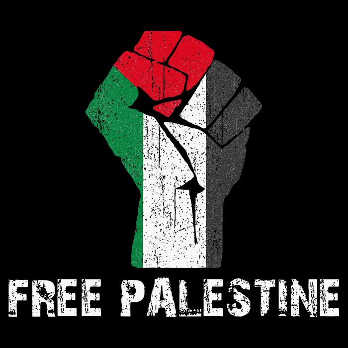 Free Palestine Vintage Retro Palestine Fist Visor