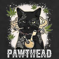 Funny Pawthead Weed Cat Smoking High Cannabis Cat 420 Stoner Beanie
