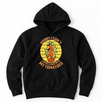 Funny Plan With Tomato Veggie Pun Tomatoes Vegetable Humor Hoodie