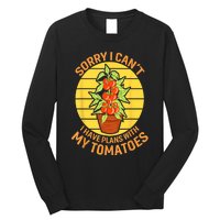 Funny Plan With Tomato Veggie Pun Tomatoes Vegetable Humor Long Sleeve Shirt