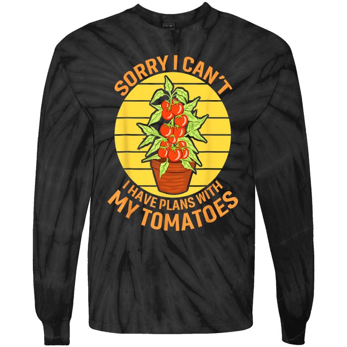 Funny Plan With Tomato Veggie Pun Tomatoes Vegetable Humor Tie-Dye Long Sleeve Shirt