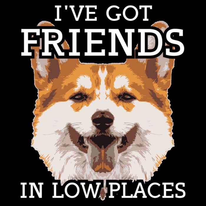 Funny Pembroke Welsh Corgi I've Got Friends In Low Places Cute Gift Drawstring Bag