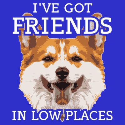 Funny Pembroke Welsh Corgi I've Got Friends In Low Places Cute Gift T-Shirt
