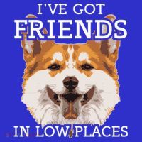 Funny Pembroke Welsh Corgi I've Got Friends In Low Places Cute Gift Tall T-Shirt