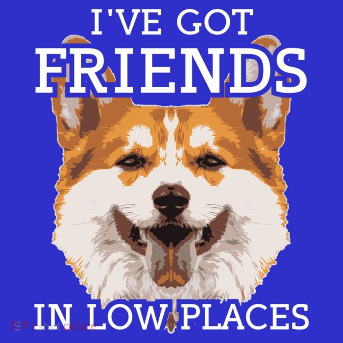 Funny Pembroke Welsh Corgi I've Got Friends In Low Places Cute Gift Tall T-Shirt